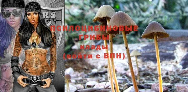 прущая мука Верхний Тагил
