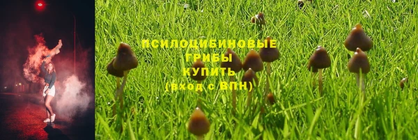 кокс Баксан