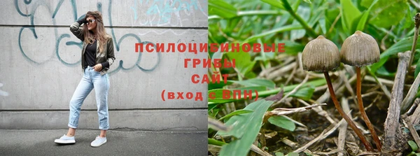 гашик Верея
