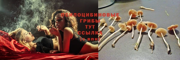 прущая мука Верхний Тагил
