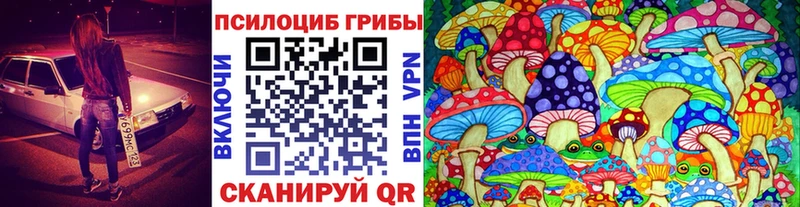 Псилоцибиновые грибы Psilocybine cubensis  Нерюнгри 